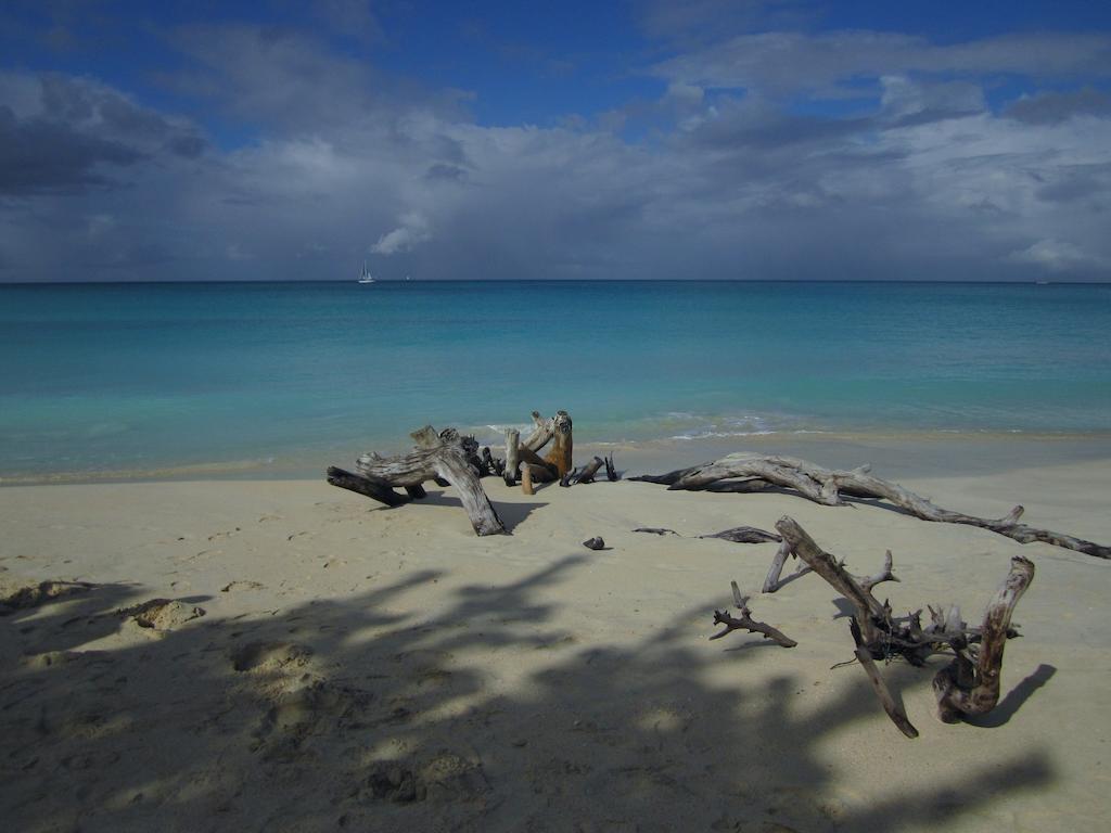 Antigua Chiama Italia Villas Jolly Harbour Room photo